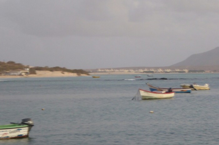 wp-1422235739431 image